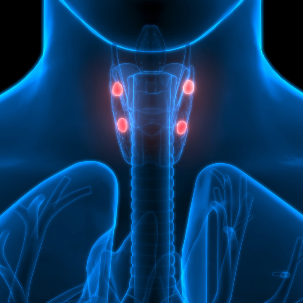 Parathyroidectomy