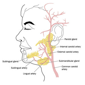 Parotidectomy