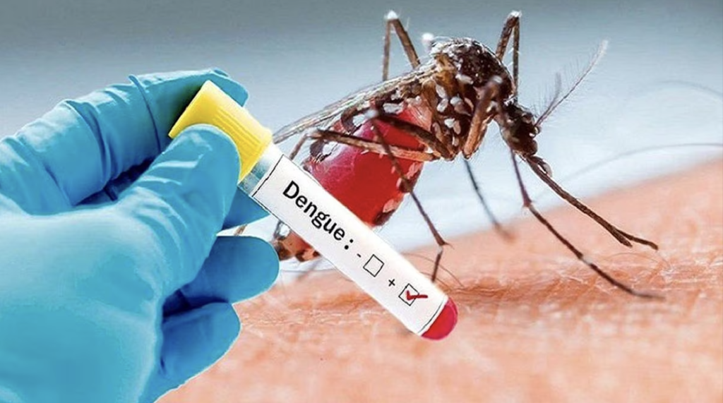 Understanding and Combating Dengue Fever: A Rising Concern in Bangalore - boshospitals